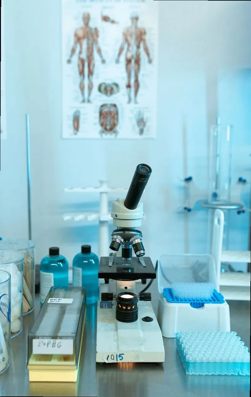 Drift Core Lab — snapshot 6